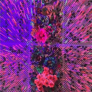 Meet your Posher, Bella